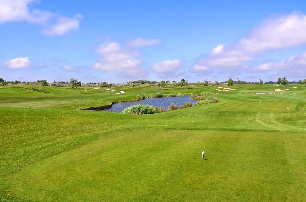 Golfbane med fairway, bunkers og sø