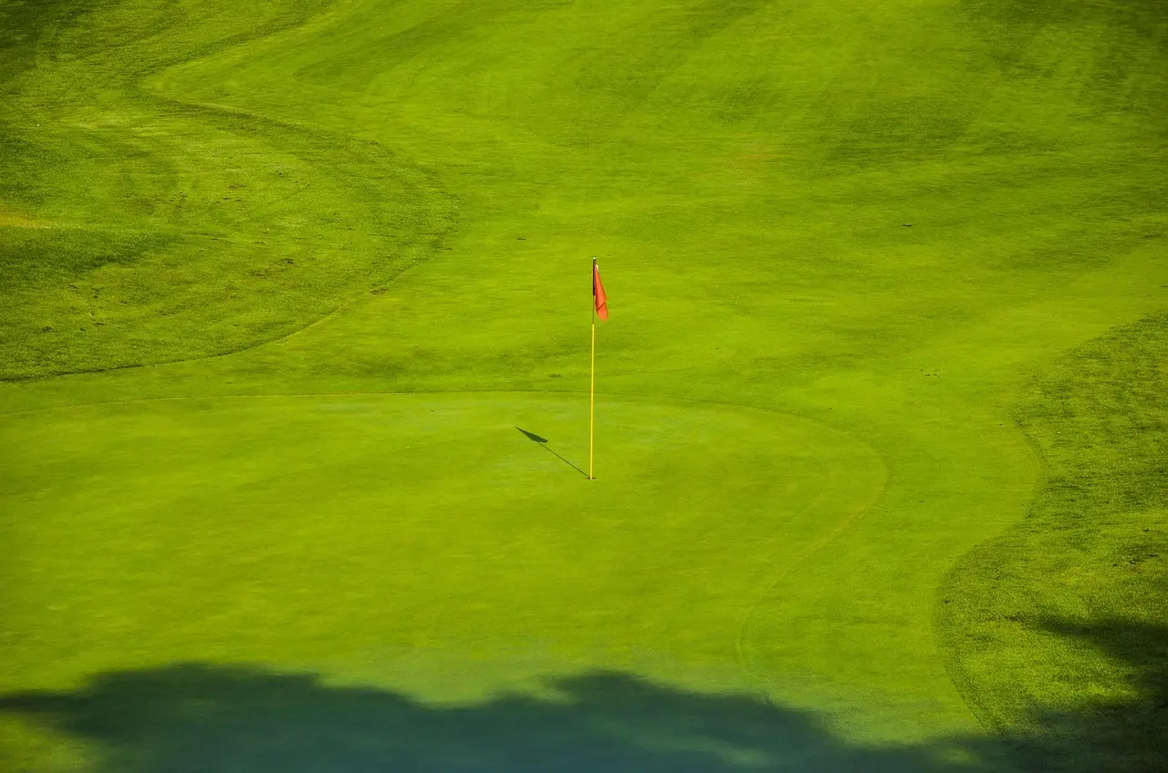Golfgreen med flagstang